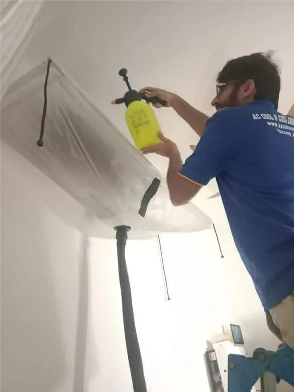 assets/images/gal/image (12).webp